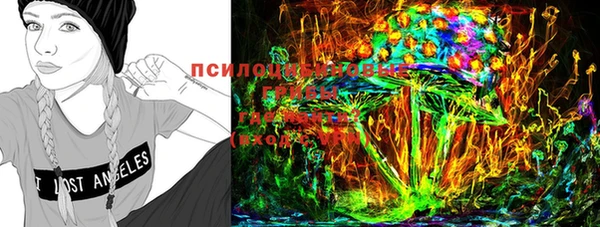 мяу мяу мука Алексин